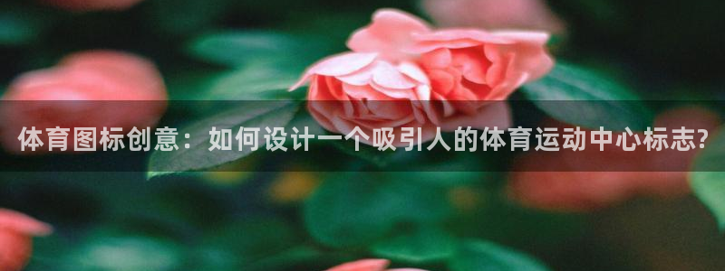 急速体育nba